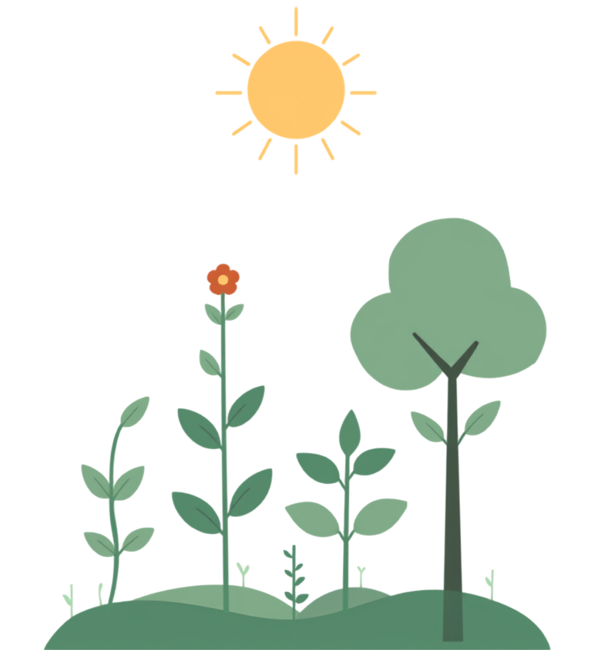 A leadership ecosystem built on trust